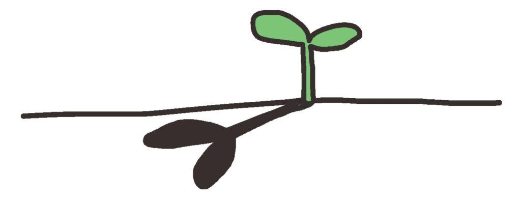 公務員　資産形成